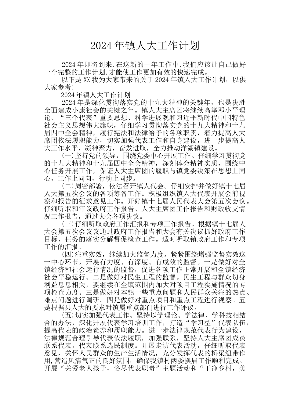 2024年镇人大工作计划_第1页