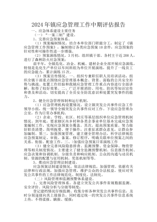 2024年镇应急管理工作中期评估报告