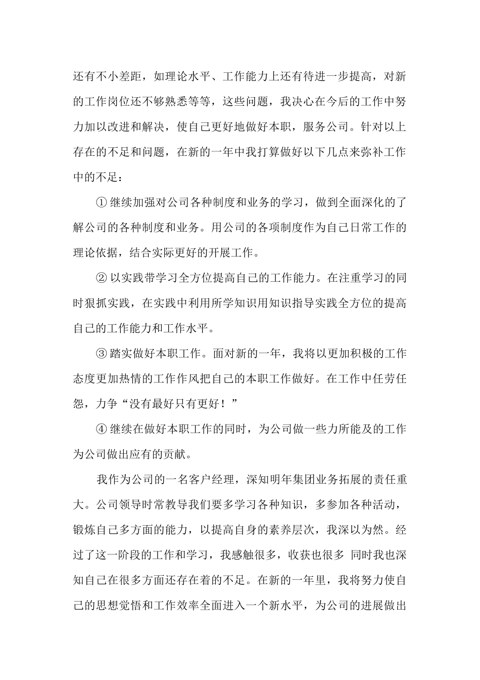 2024年集团客户客户经理个人工作总结_第2页