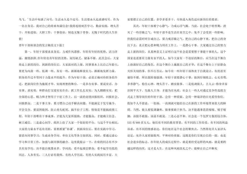 2024年青年干部座谈会的发言稿3篇_第2页