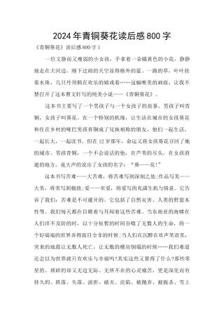 2024年青铜葵花读后感800字