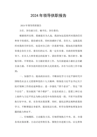 2024年领导供职报告