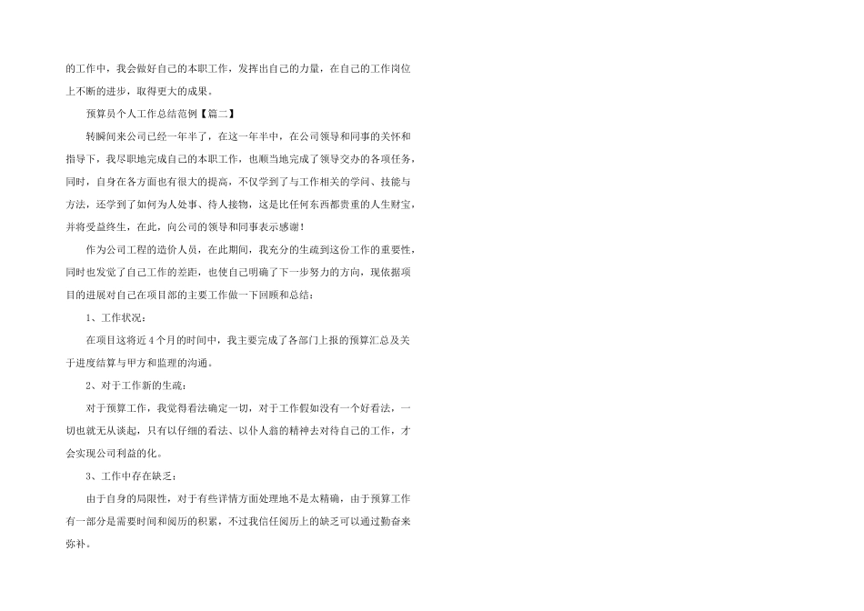 2024年预算员个人工作总结范例_第2页