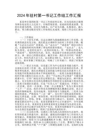 2024年驻村第一书记工作组工作汇报