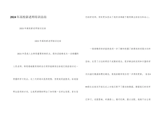 2024年高校新教师培训总结