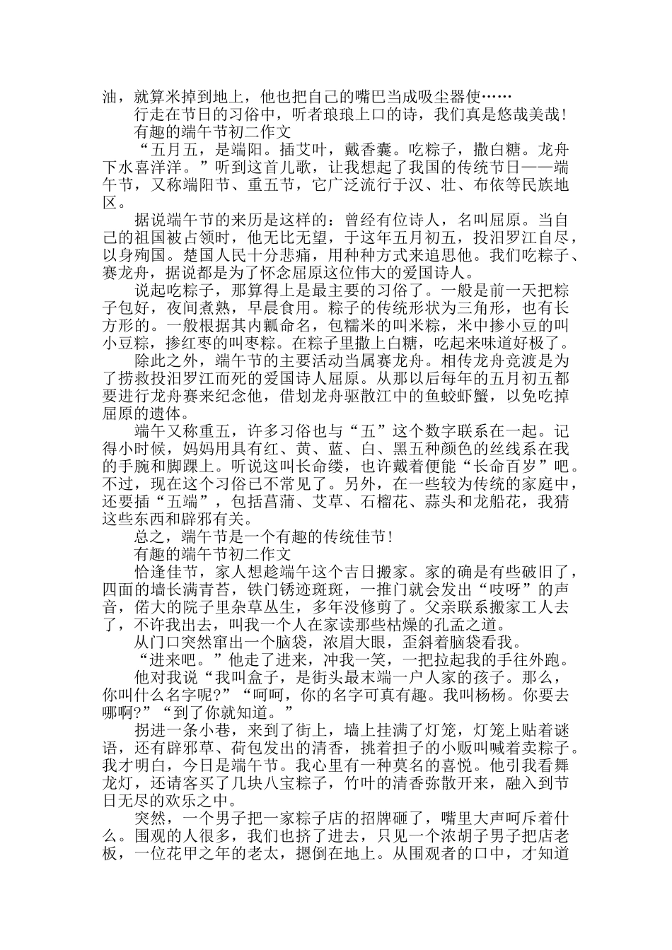 2024开心快乐的端午节初二作文五篇_第3页