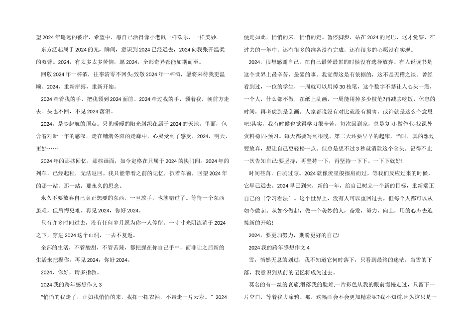 2024我的跨年感想_第2页