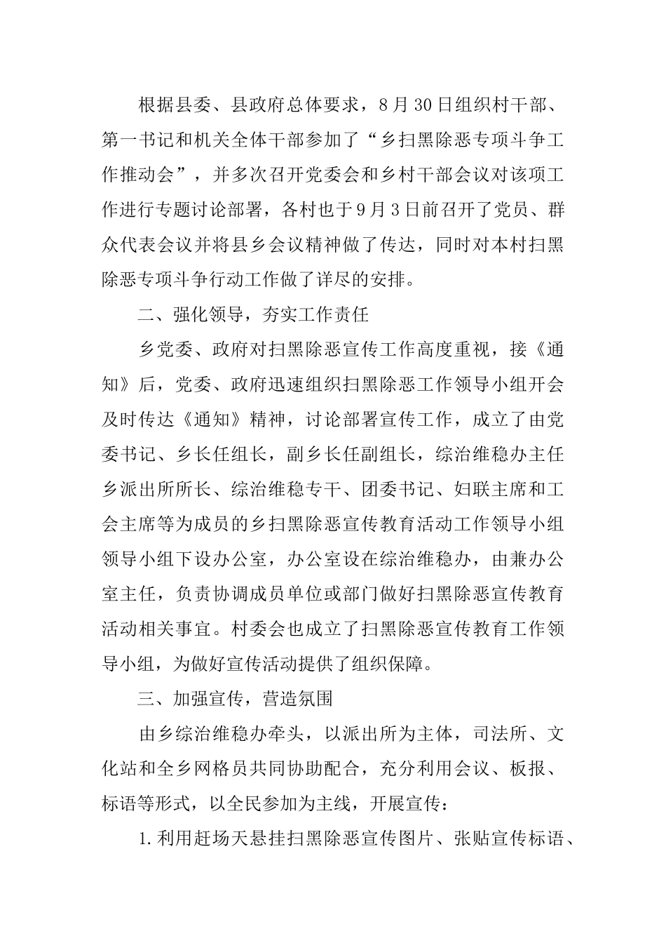 2024扫黑除恶专项斗争工作要点_第3页