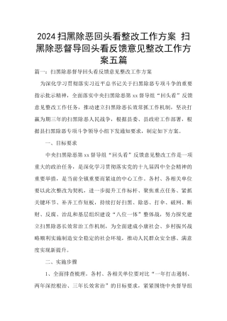 2024扫黑除恶回头看整改工作方案