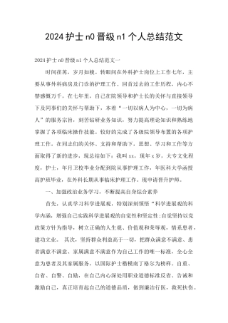 2024护士n0晋级n1个人总结范文