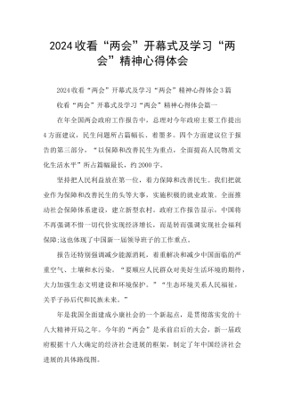 2024收看“两会”开幕式及学习“两会”精神心得体会