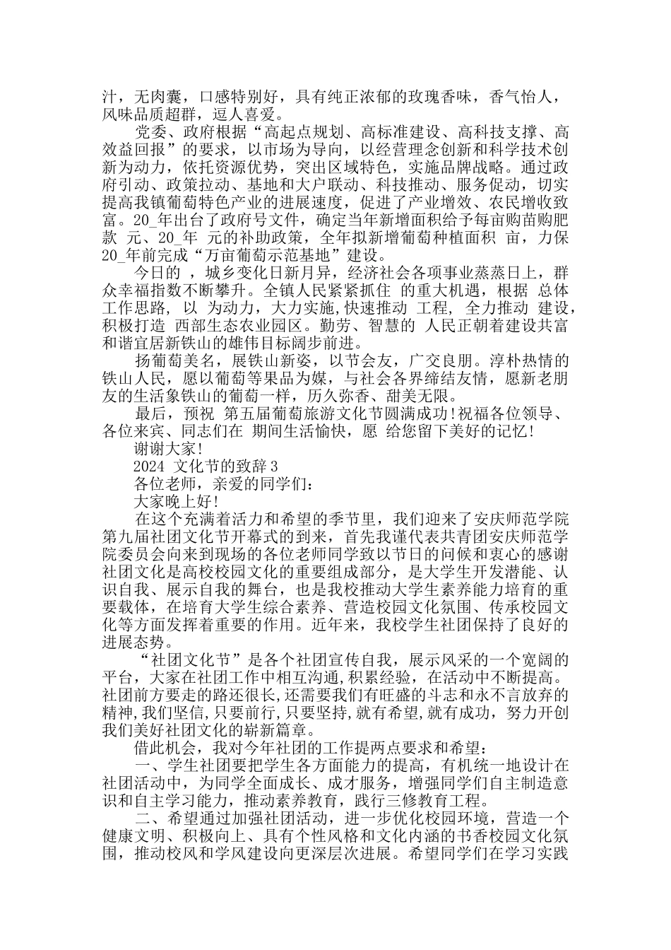 2024文化节的致辞汇总_第3页