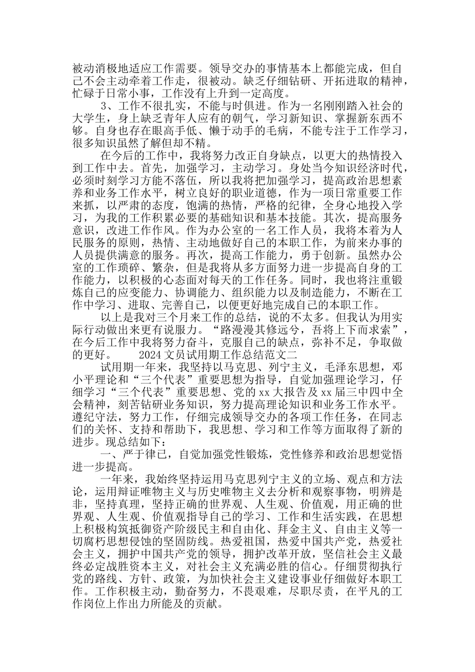 2024文员试用期工作总结范文_第2页