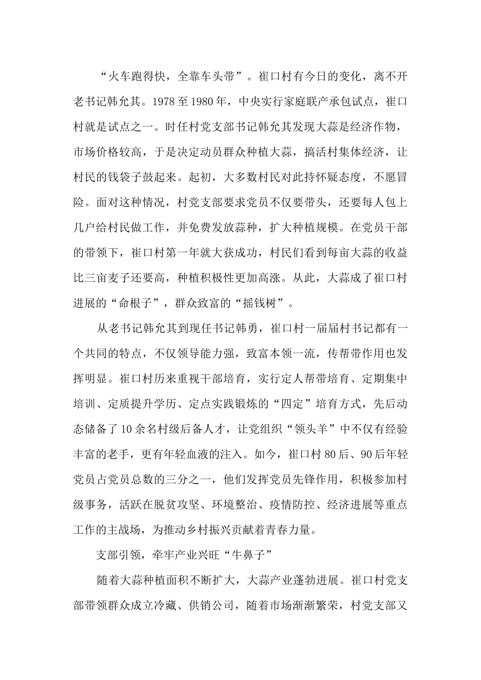 2024新书《乡村振兴青年说》读后感5篇_第2页