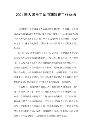 2024新入职员工试用期转正工作总结