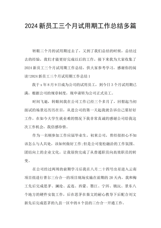 2024新员工三个月试用期工作总结多篇