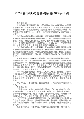 2024春节联欢晚会观后感400字5篇