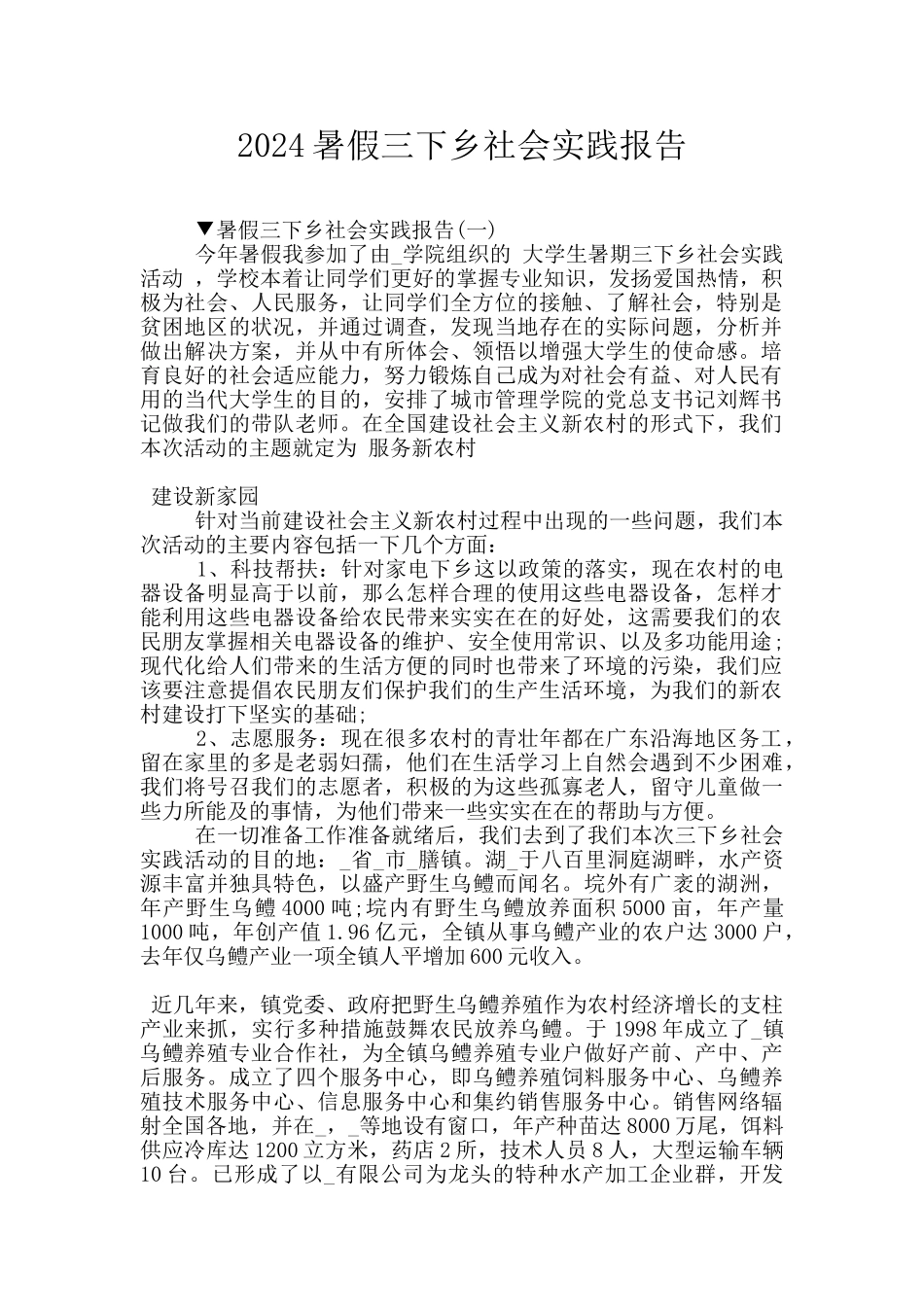 2024暑假三下乡社会实践报告_第1页