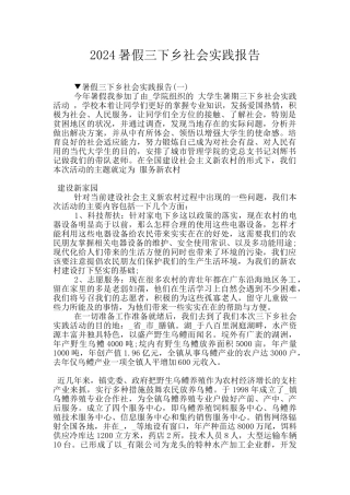 2024暑假三下乡社会实践报告