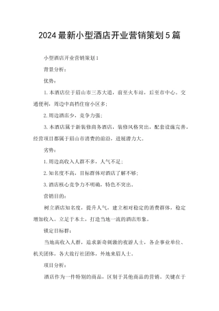 2024最新小型酒店开业营销策划5篇