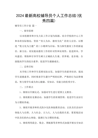 2024最新高校辅导员个人工作总结