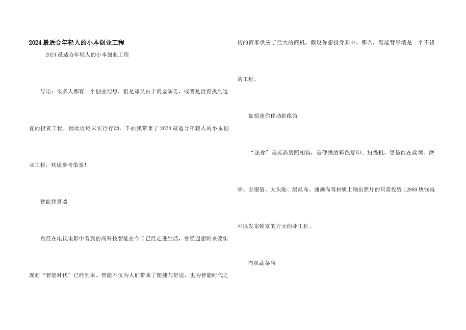 2024最适合年轻人的小本创业项目_第1页