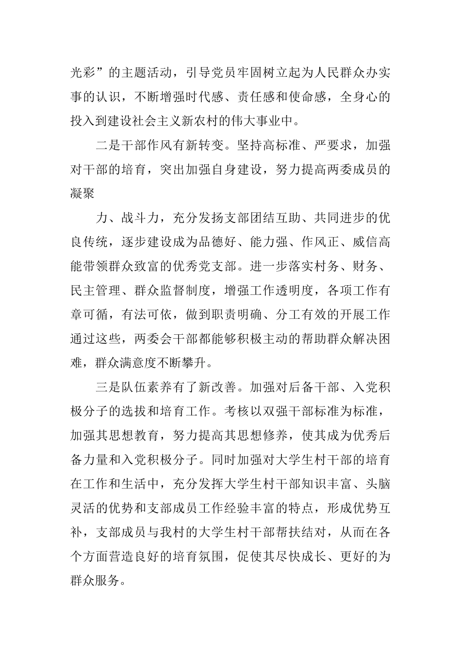 2024村党支部工作总结_第2页