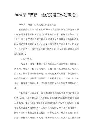2024某“两新”组织党建工作述职报告