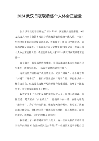 2024武汉日夜观后感个人体会正能量