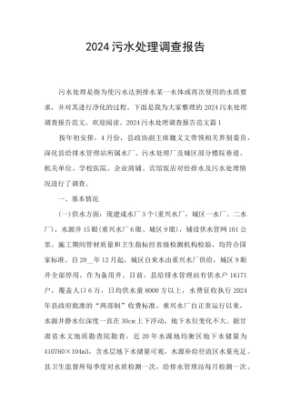 2024污水处理调查报告