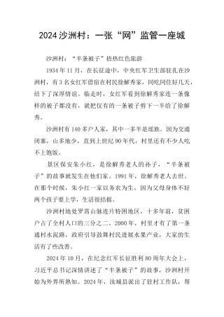 2024沙洲村：一张“网”监管一座城