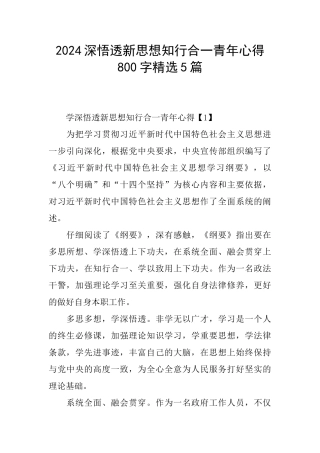 2024深悟透新思想知行合一青年心得800字精选5篇