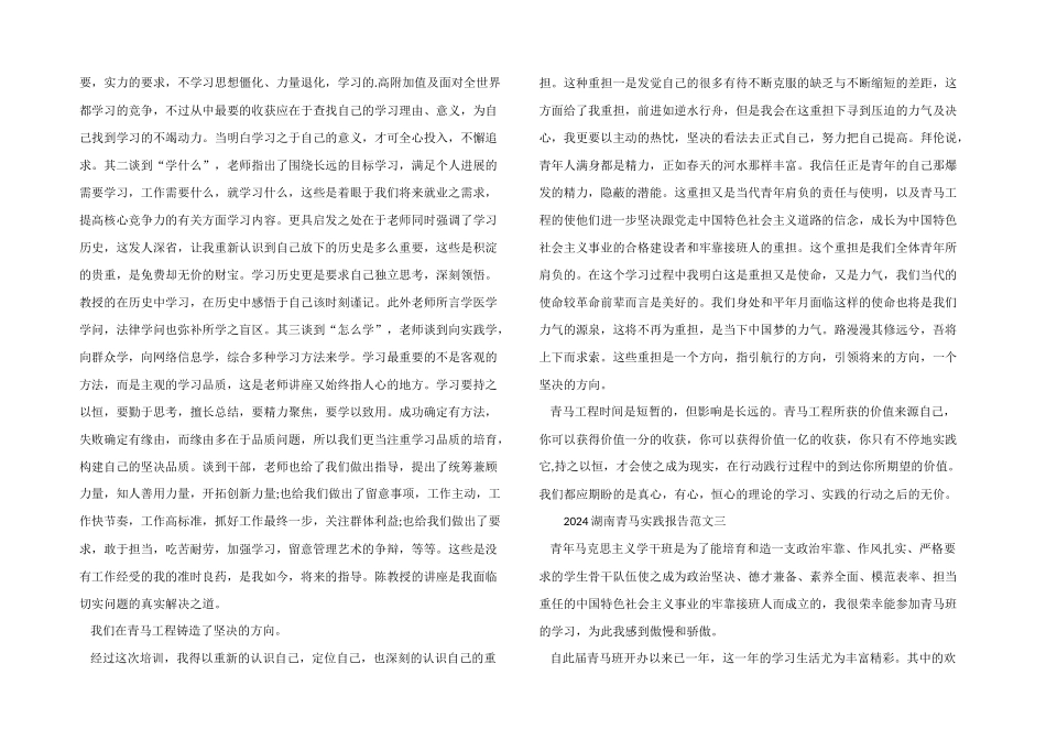 2024湖南青马实践报告「大学生篇」_第3页