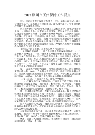 2024湖州市医疗保障工作要点