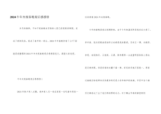 2024牛年央视春晚观后感感悟