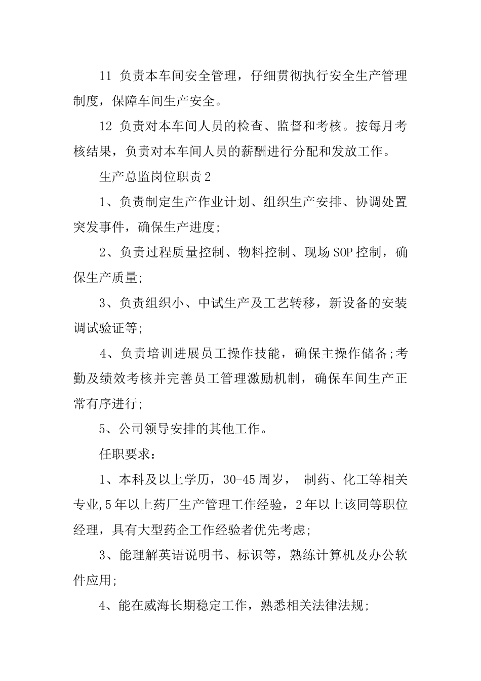2024生产总监岗位职责_第2页