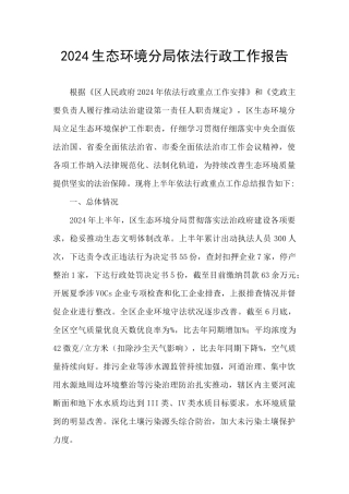 2024生态环境分局依法行政工作报告