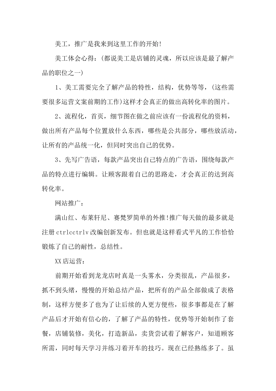 2024电商美工年终总结_第3页