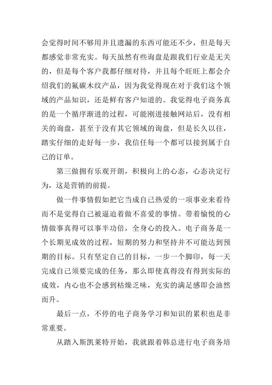 2024电子商务年终总结_第3页