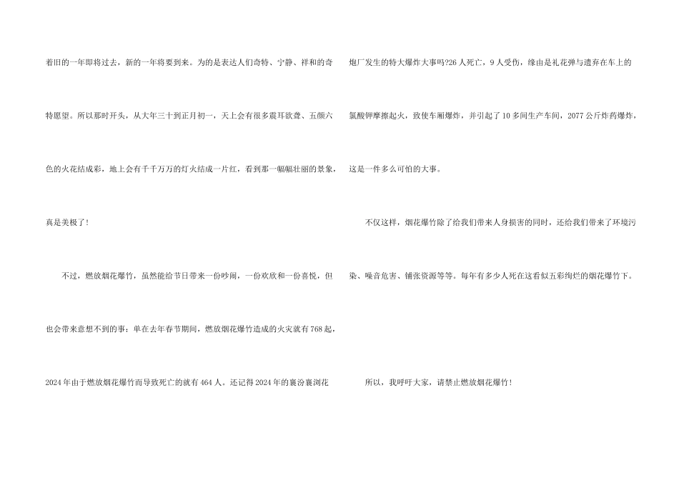 2024禁止燃放烟花的议_第2页