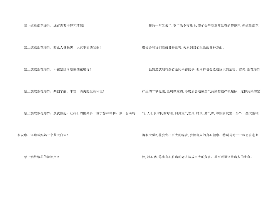 2024禁止燃放烟花的议_第3页