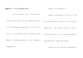 2024精彩三下乡社会实践报告5篇
