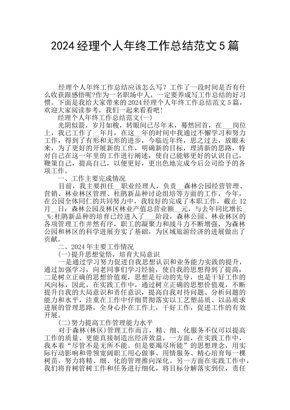 2024经理个人年终工作总结范文5篇_第1页
