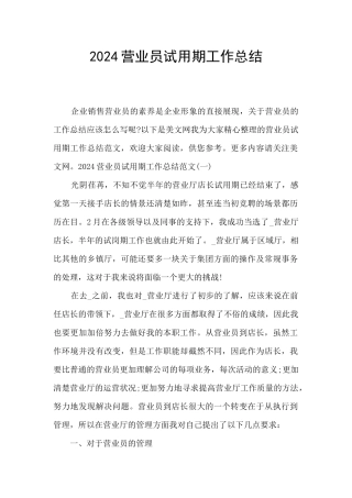 2024营业员试用期工作总结