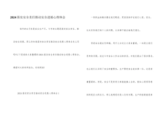 2024落实安全责任推动安全发展心得体会