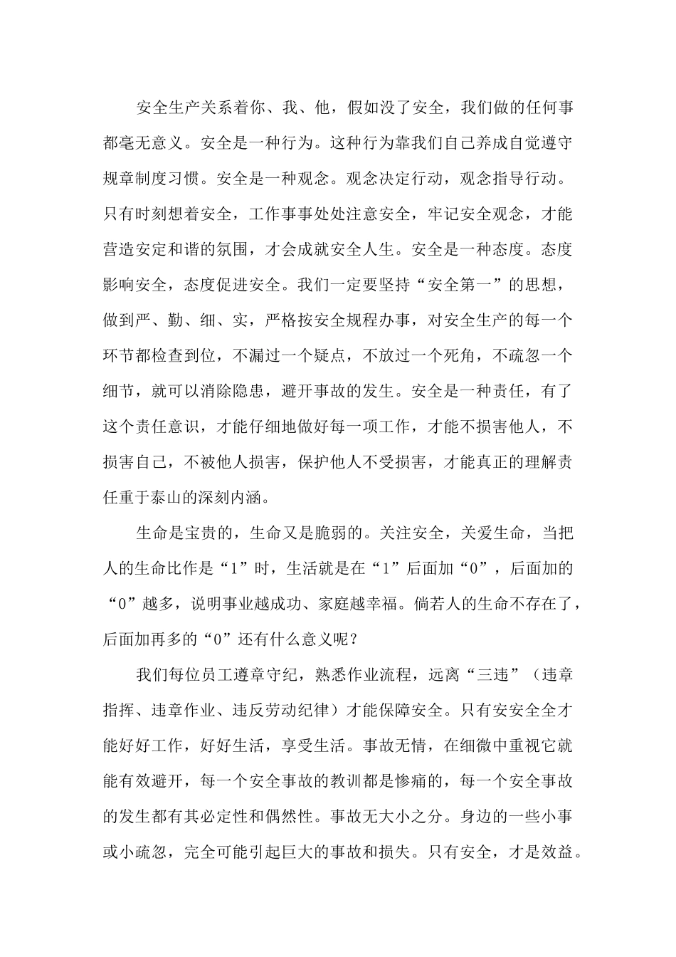 2024落实安全责任推动安全发展的演讲稿精选八篇_第3页