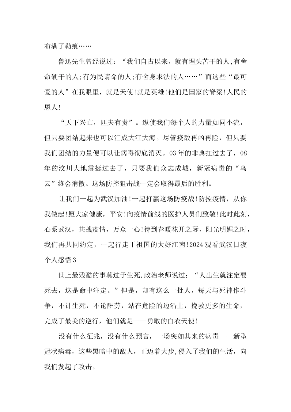 2024观看武汉日夜个人感悟_第3页