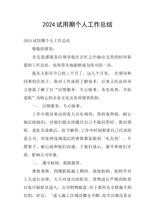 2024试用期个人工作总结