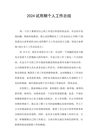 2024试用期个人工作总结