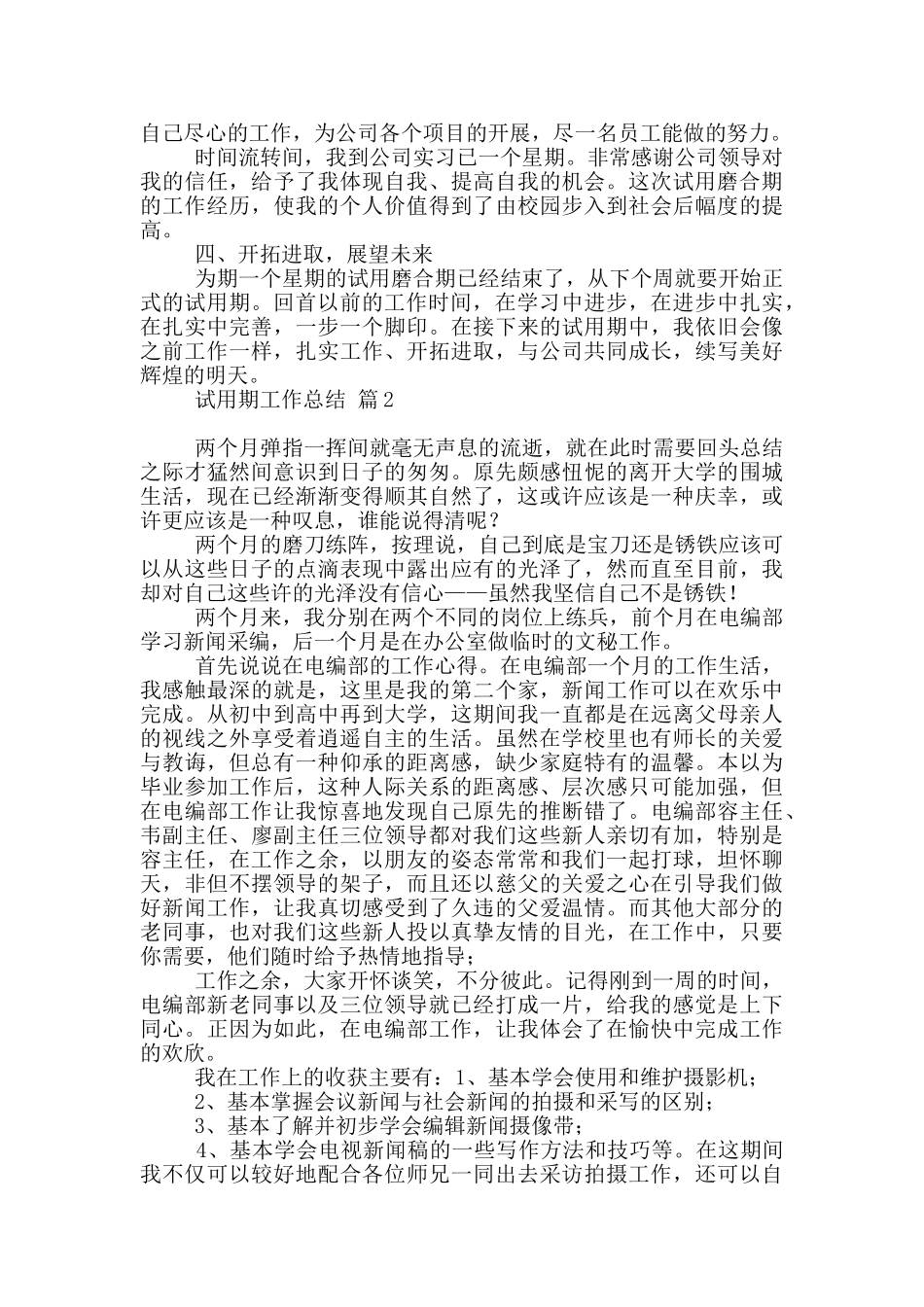 2024试用期工作总结_第2页